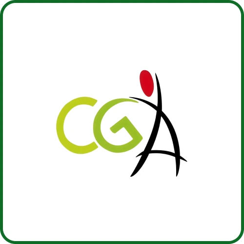 Logo Leadi